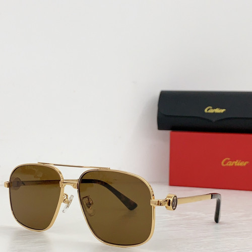 Cartier Sunglasses AAAA-3655