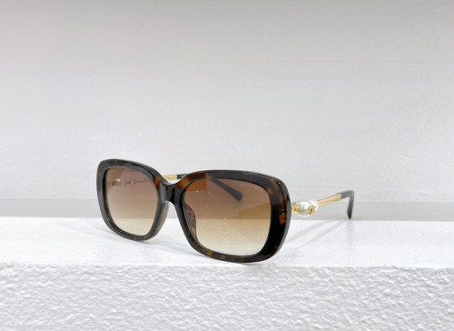 CHNL Sunglasses AAAA-2861