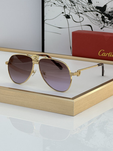 Cartier Sunglasses AAAA-4829