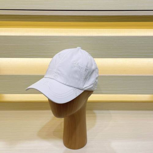 Burrerry Hats AAA-653