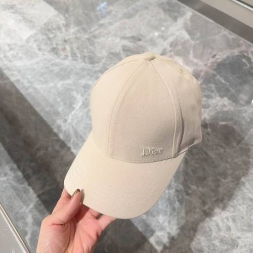 Dior Hats AAA-884
