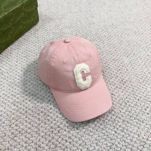 Celine Hats AAA-254