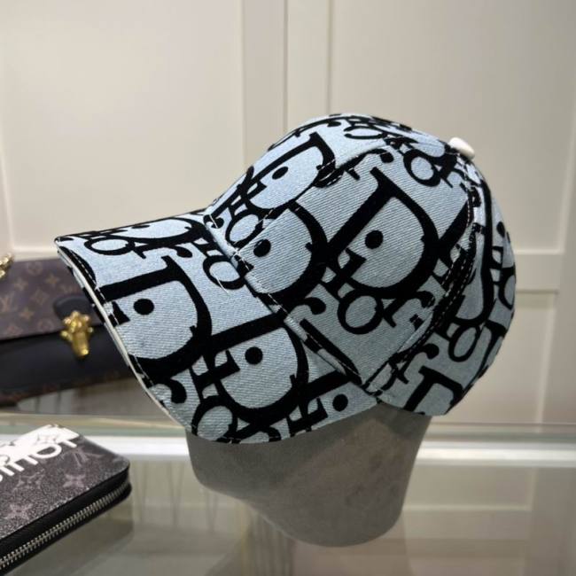 Dior Hats AAA-1099