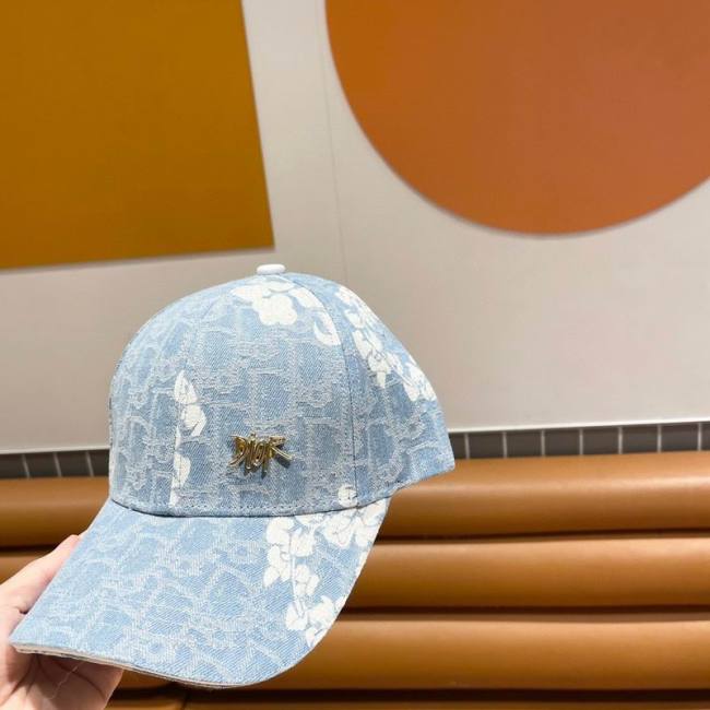 Dior Hats AAA-1029