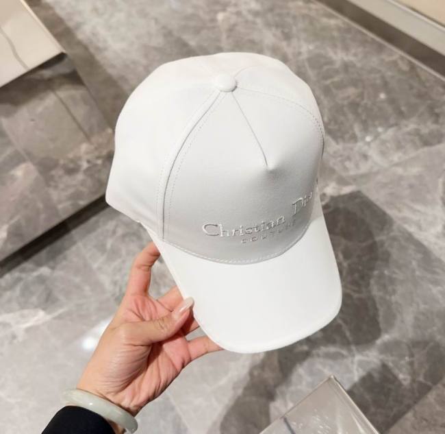 Dior Hats AAA-953