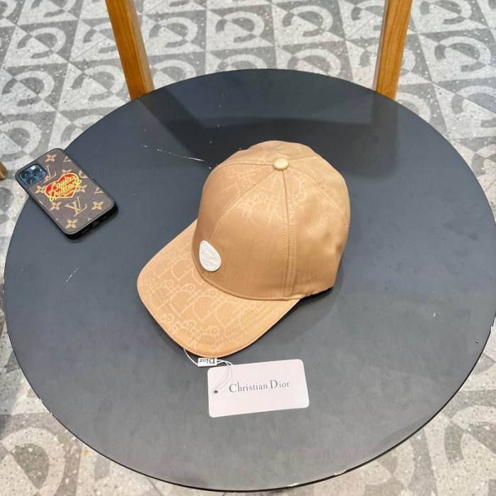 Dior Hats AAA-1021