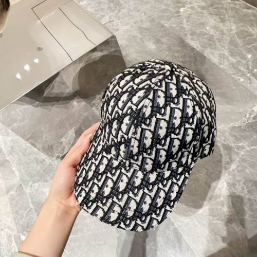 Dior Hats AAA-1054