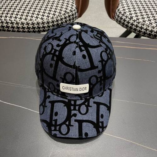 Dior Hats AAA-1091