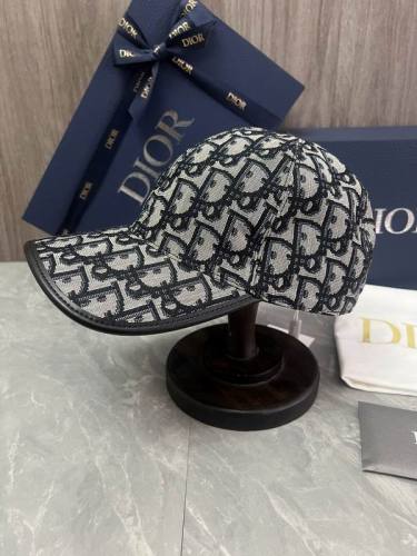 Dior Hats AAA-1061
