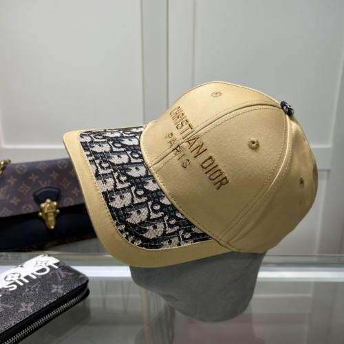 Dior Hats AAA-1125