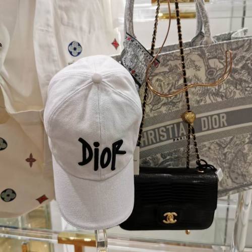 Dior Hats AAA-1055