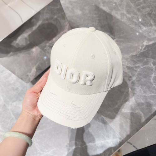 Dior Hats AAA-1131
