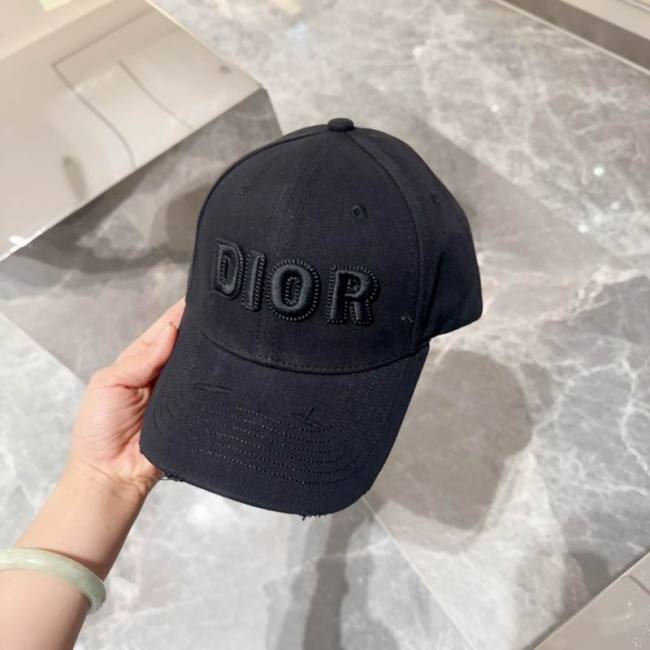 Dior Hats AAA-1070