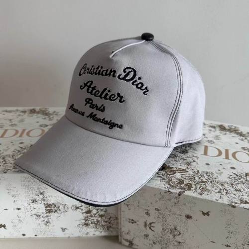 Dior Hats AAA-1112