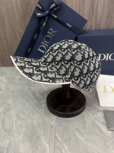 Dior Hats AAA-1063