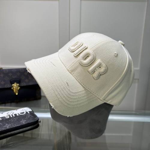 Dior Hats AAA-1118
