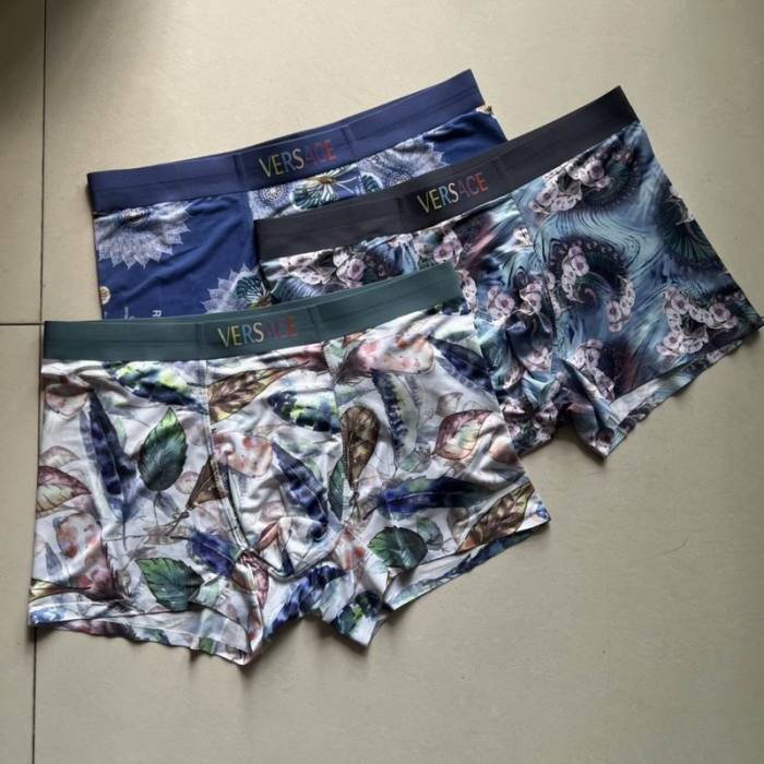 Ves underwear-064(L-XXXL)