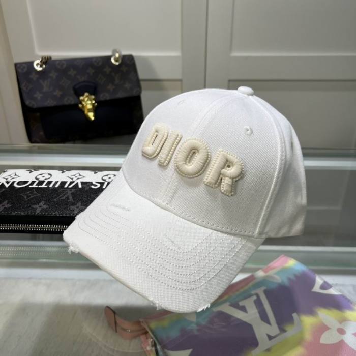 Dior Hats AAA-1158