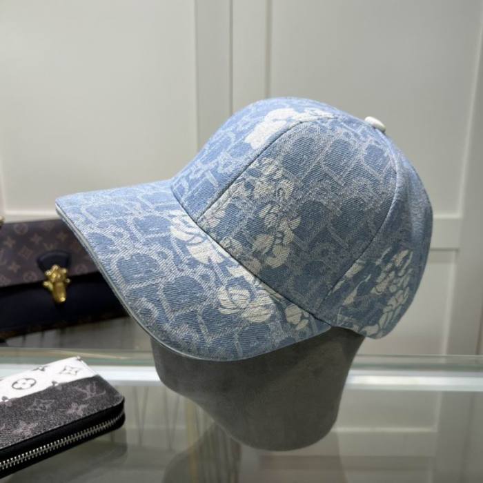 Dior Hats AAA-1185