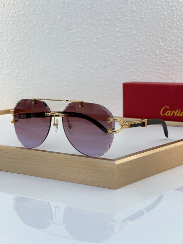 Cartier Sunglasses AAAA-5753
