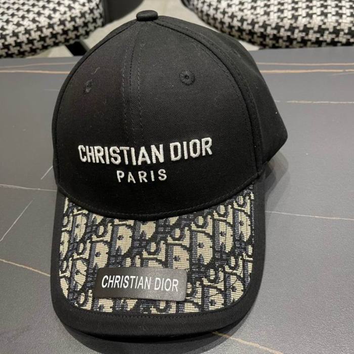 Dior Hats AAA-1224