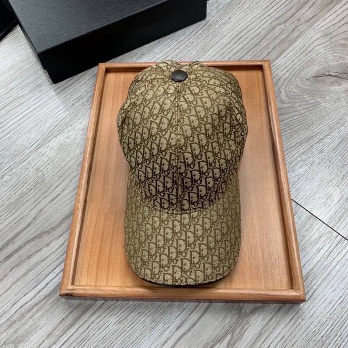 Dior Hats AAA-1179