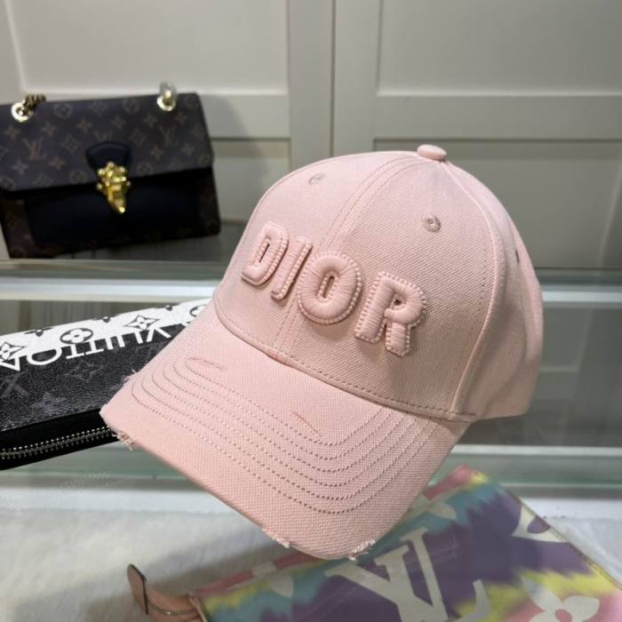 Dior Hats AAA-1160