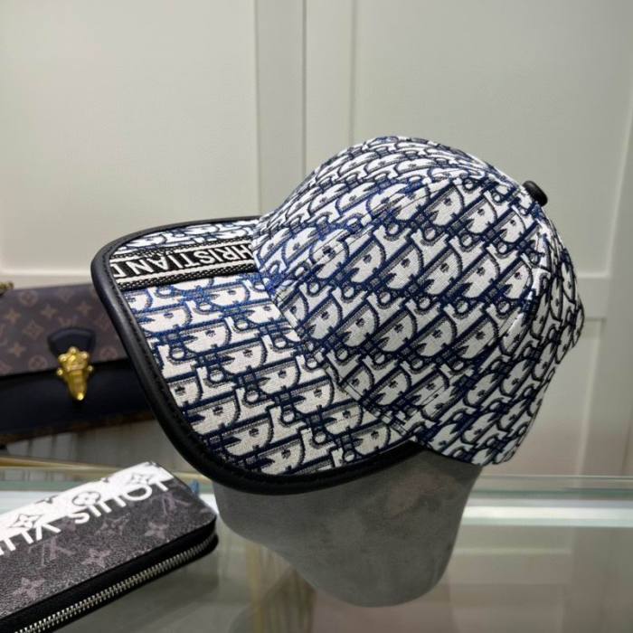 Dior Hats AAA-1244