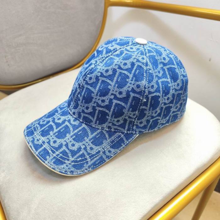 Dior Hats AAA-1248