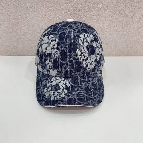 Dior Hats AAA-1206