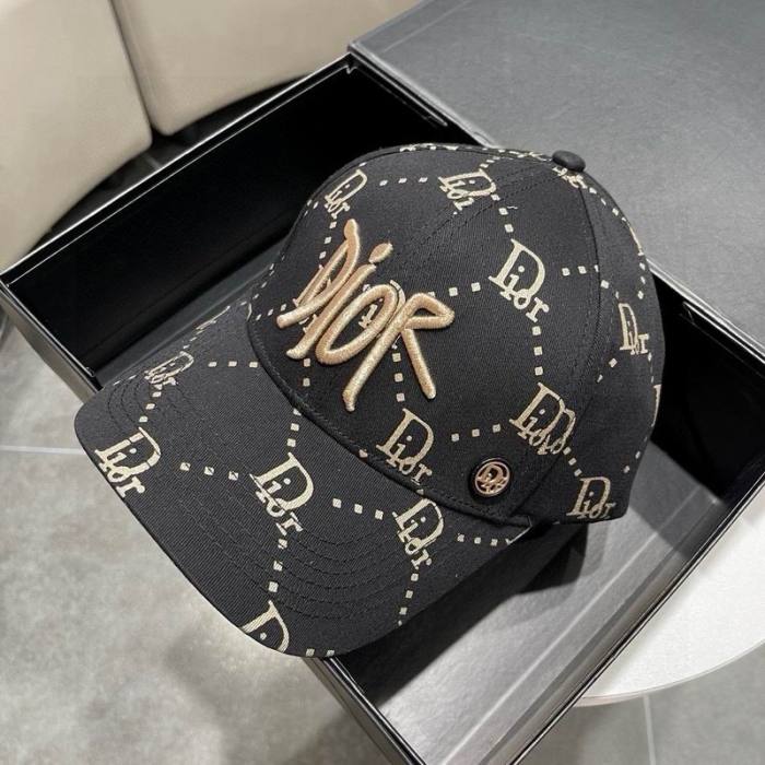 Dior Hats AAA-1204
