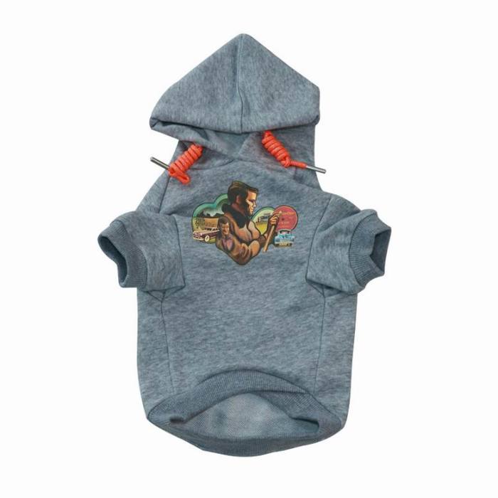 Dior Pet Hoodies-142