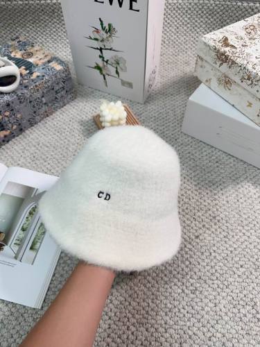 DIOR Bucket Hats AAA-493