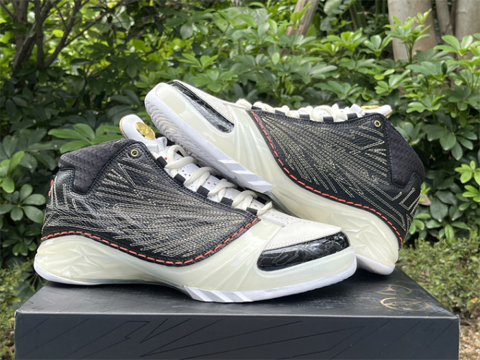 Authentic  Titan x Air Jordan 23 Retro SP 10th Anniversary