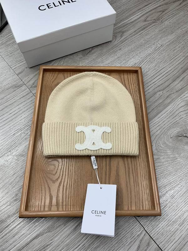 Celine Hats AAA-1060