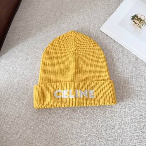 Celine Hats AAA-1295