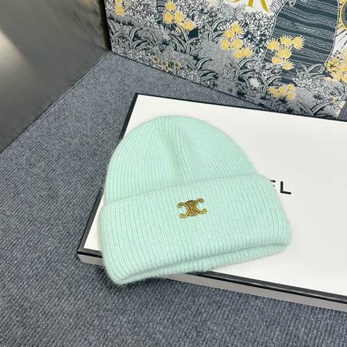 Celine Hats AAA-961