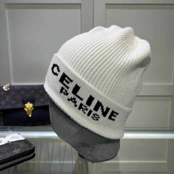 Celine Hats AAA-1129