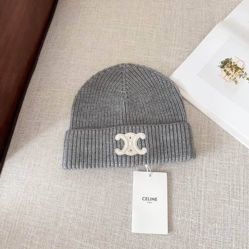 Celine Hats AAA-893