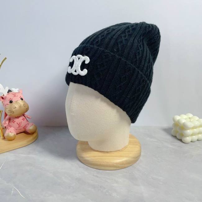 Celine Hats AAA-1262