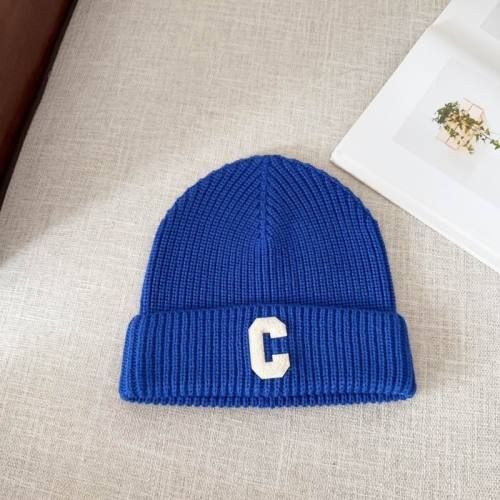 Celine Hats AAA-1041