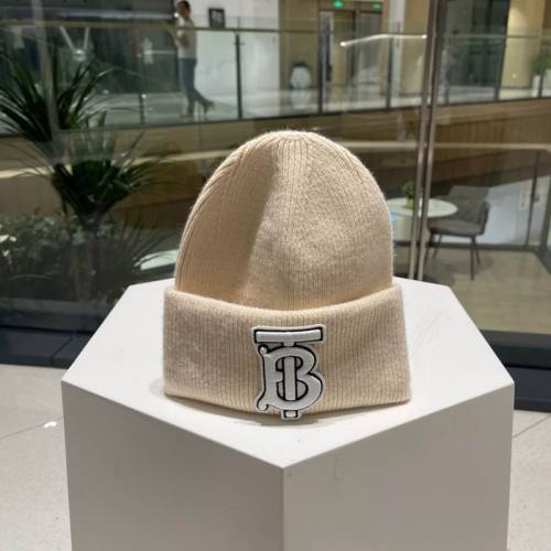 Burrerry Hats AAA-928