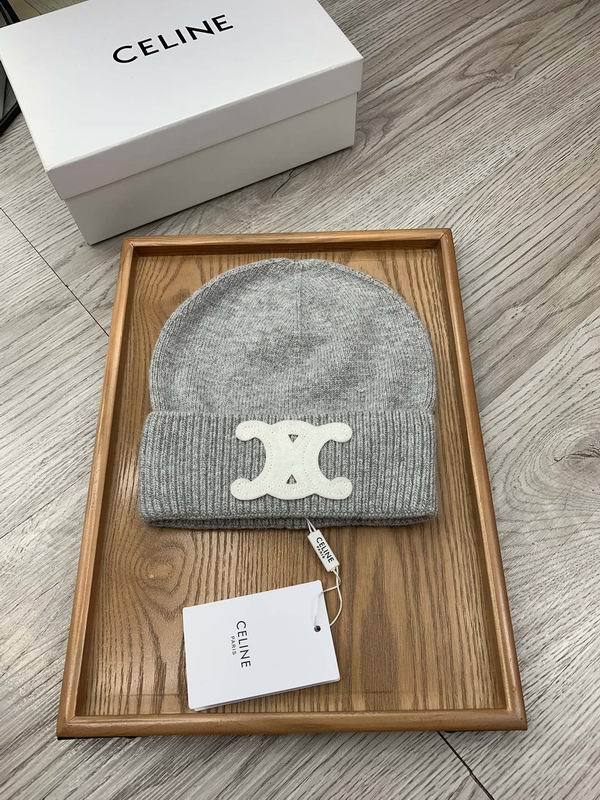 Celine Hats AAA-1059