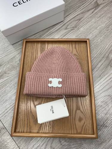 Celine Hats AAA-950