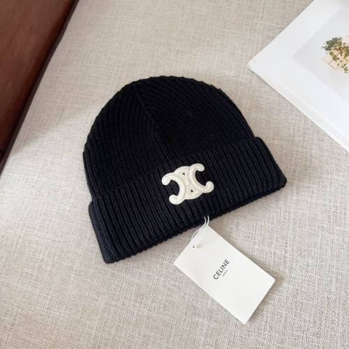 Celine Hats AAA-1000