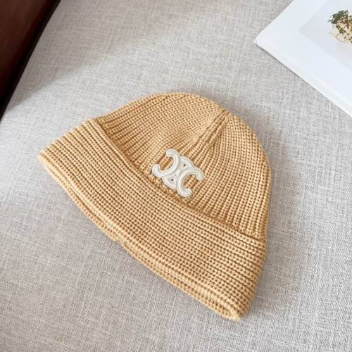 Celine Hats AAA-1311