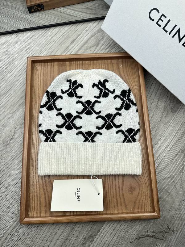 Celine Hats AAA-1070