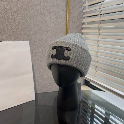 Celine Hats AAA-1272