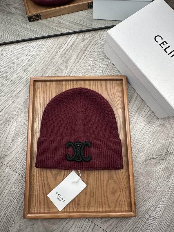 Celine Hats AAA-1102