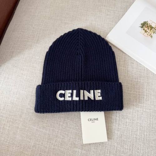 Celine Hats AAA-1299